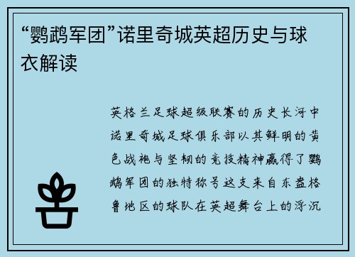 “鹦鹉军团”诺里奇城英超历史与球衣解读